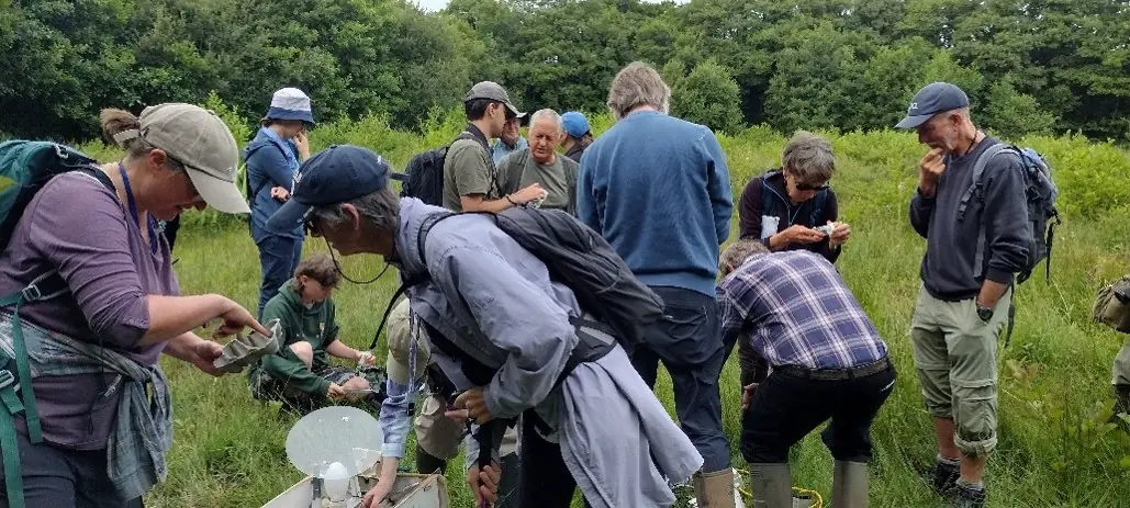 Entomologists at Cors Geirch © Richard Gallon